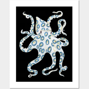 Blue Ring Octopus White Art Posters and Art